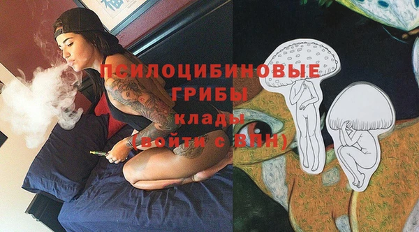 Альфа ПВП Алексин