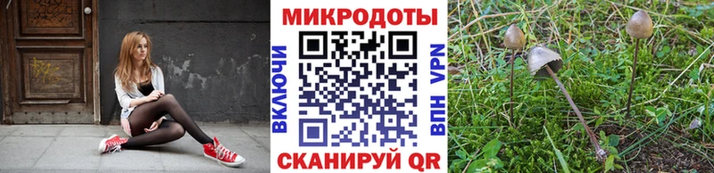 Псилоцибиновые грибы Psilocybe  закладки  MEGA tor  Сорочинск 